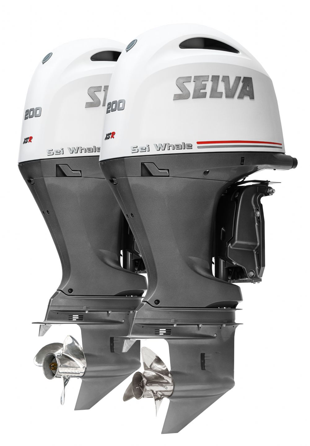 SELVA WHITE WHALE 300 - 2024