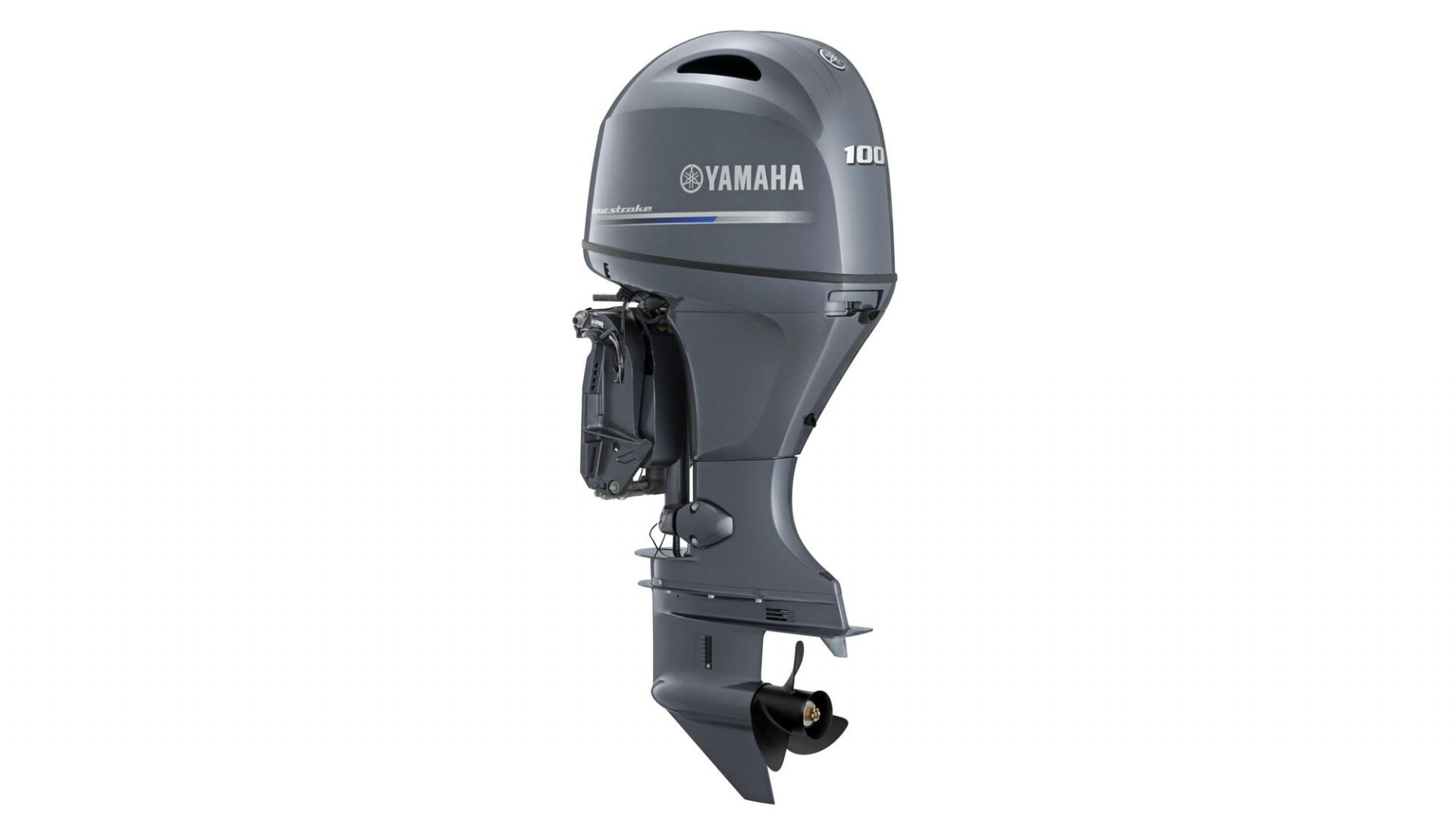 Yamaha F100 LBXB - 2024