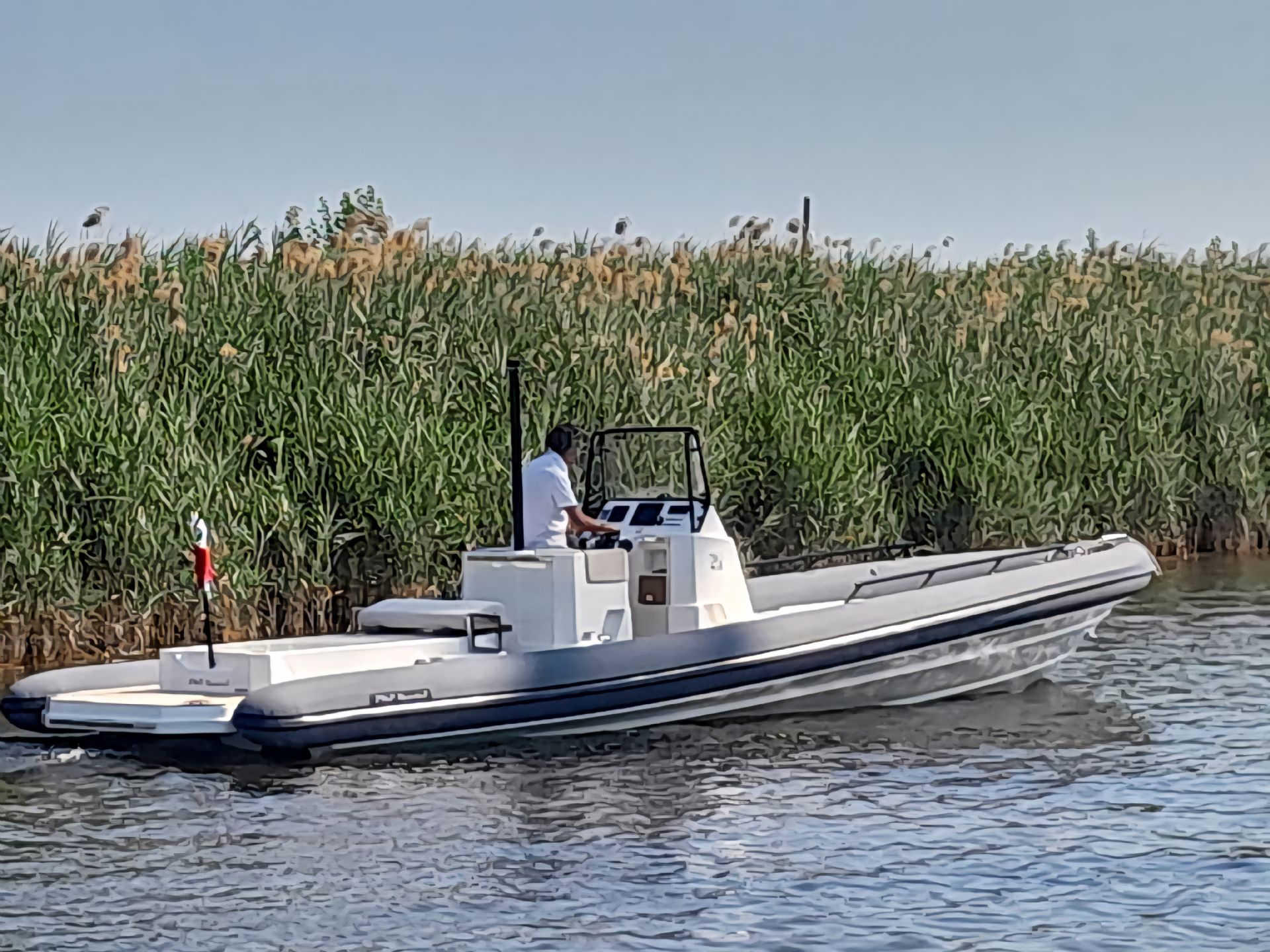 Levi Ribs PMP 8punto5 - 2017 - for sale: 110000.-EUR