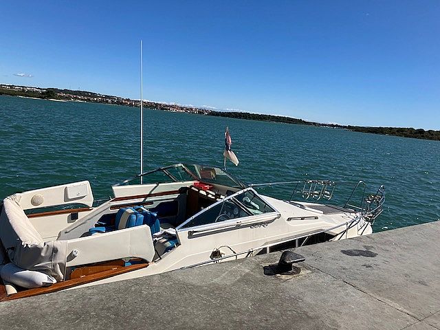 Sea Ray 225 Express - 2025