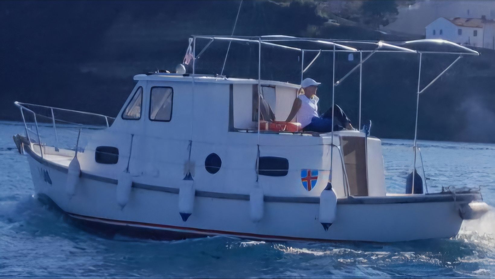Rondolini Cormorano - 1981