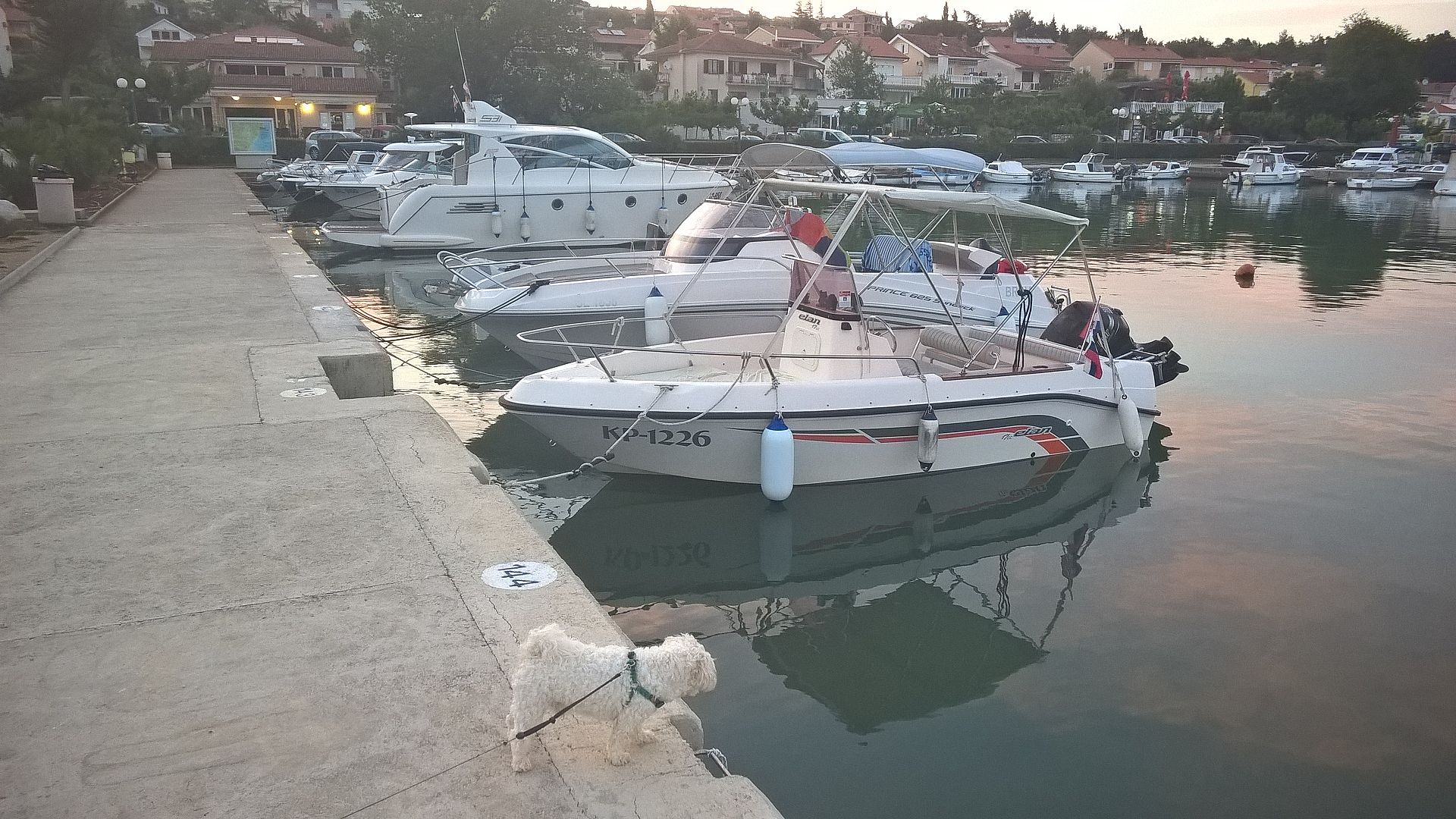 Elan 17cc - 2001