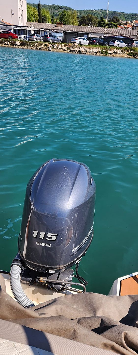 Marin Time QX563 - 2023