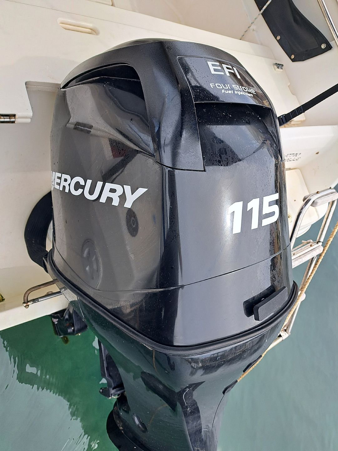 Mercury 115 EFI 115 - 2010