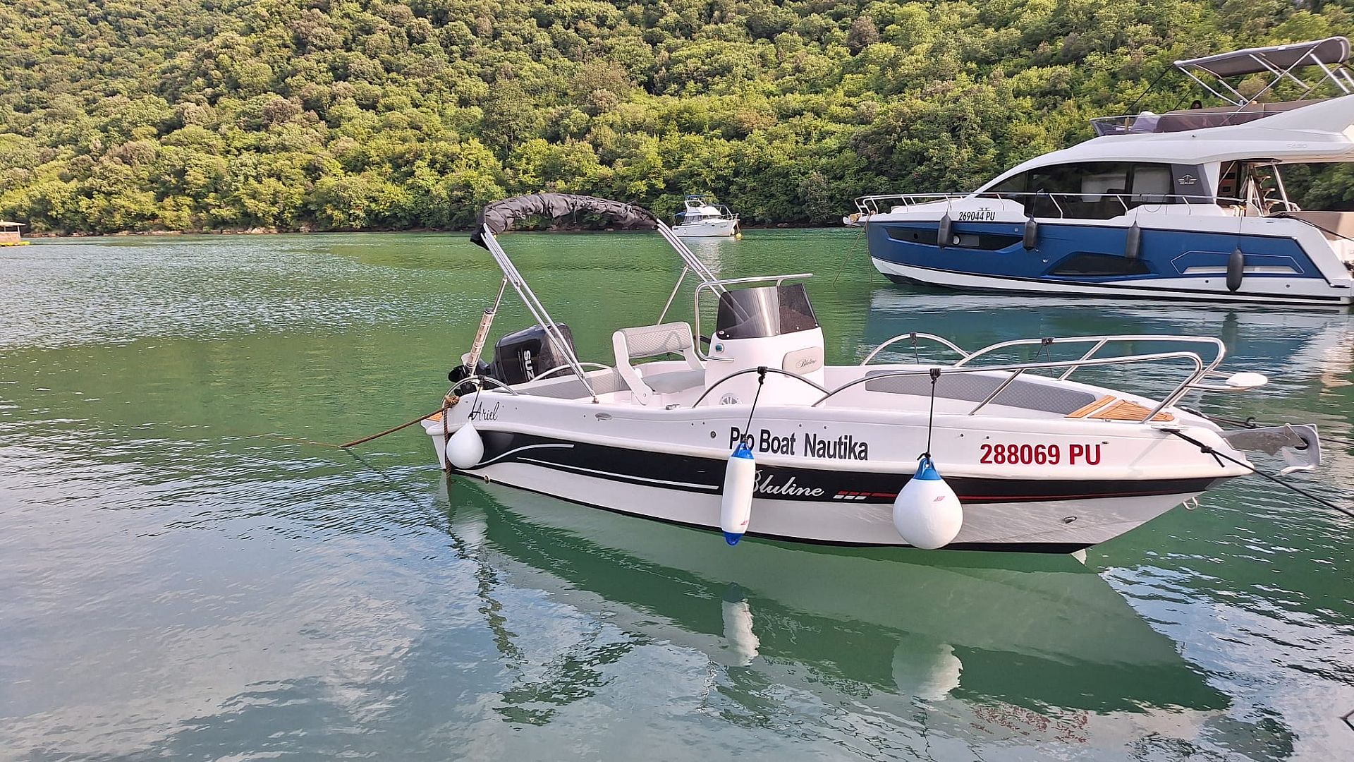 Bluline 19 open Plus - 2024