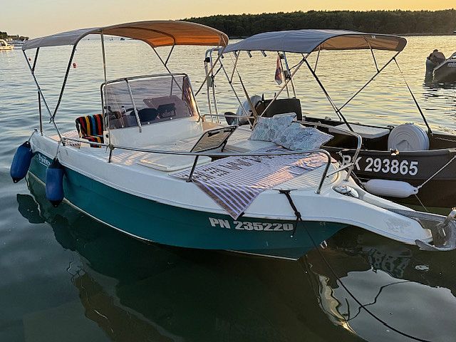 PICARO SD-20 z Prikolico mo�na menjava - 2013