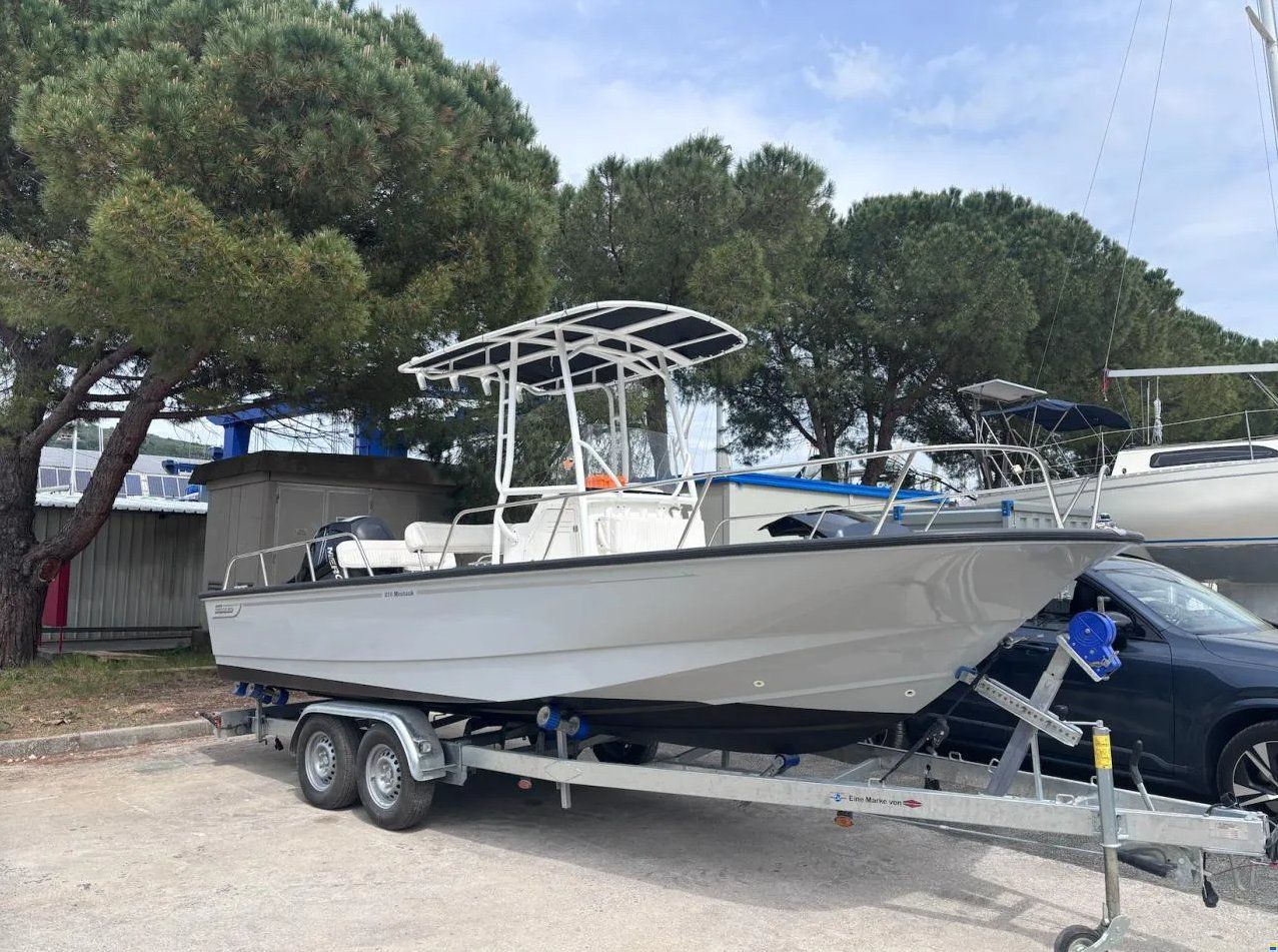Boston Whaler Montauk 210 - 2012