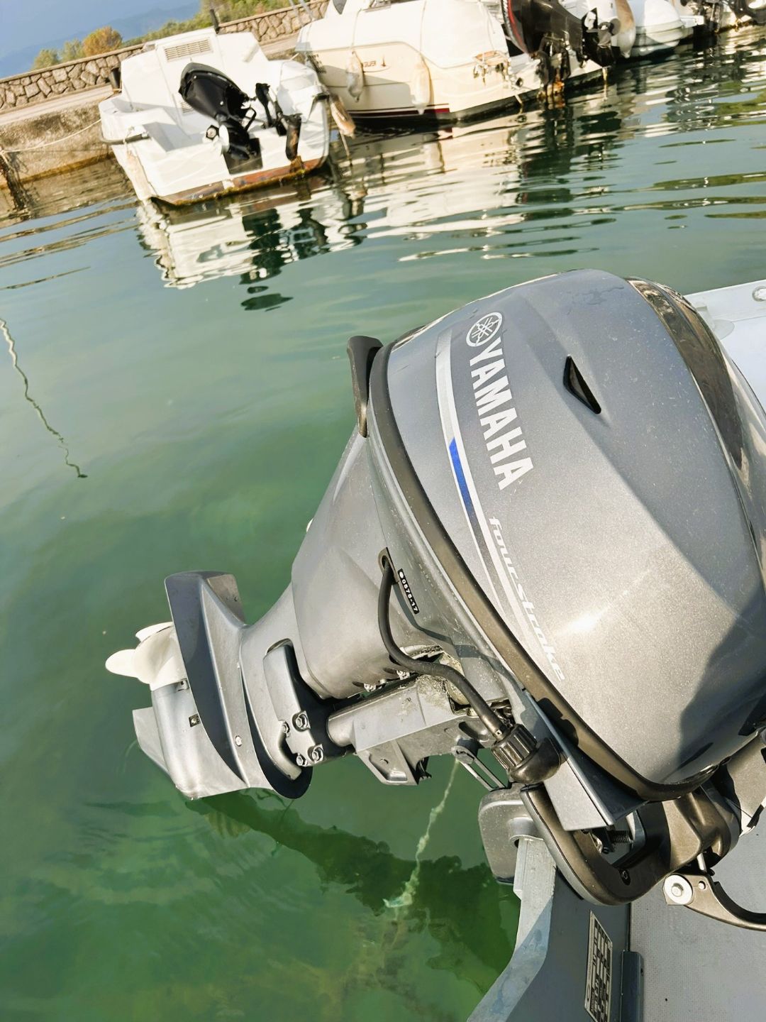 Grand R380   YAMAHA F20 BMHS - 2017